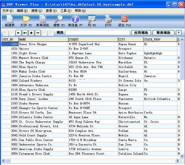 DBF Viewer特别版截图