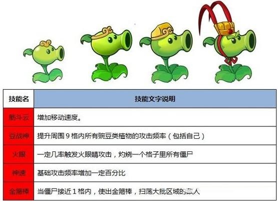 豌豆悟空
