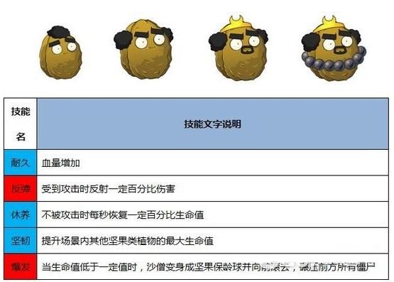 沙僧坚果