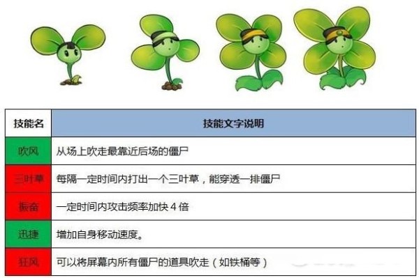 风婆三叶草