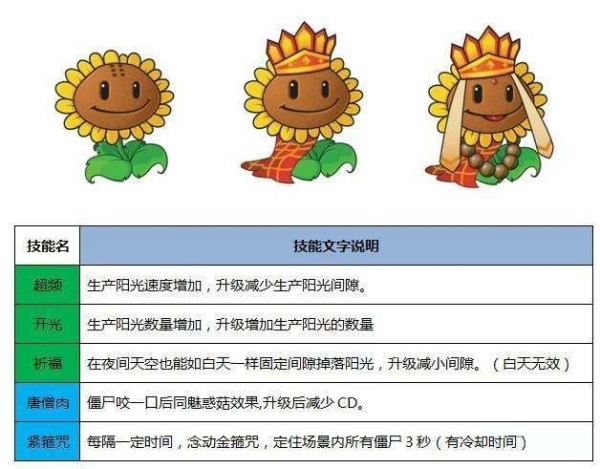 唐僧向日葵