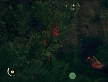 先祖人类奥德赛中文版操作详解活动及作用介绍5