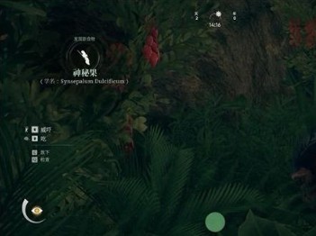 先祖人类奥德赛中文版操作详解活动及作用介绍6
