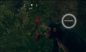 先祖人类奥德赛中文版操作详解活动及作用介绍7