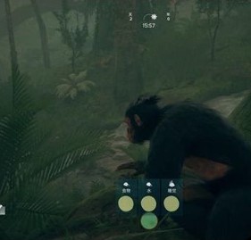 先祖人类奥德赛中文版操作详解活动及作用介绍9