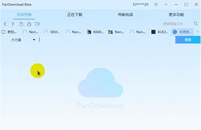 大力盘搜索引擎使用方法