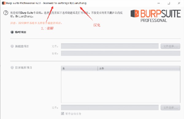 BurpSuite中文版截图