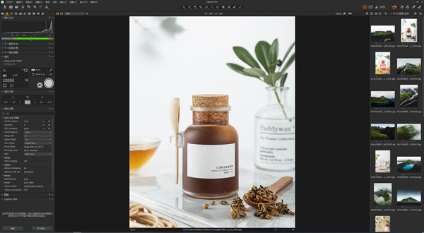 Capture One12完美特别版截图