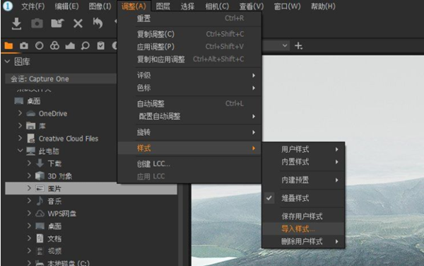 导入样式步骤截图