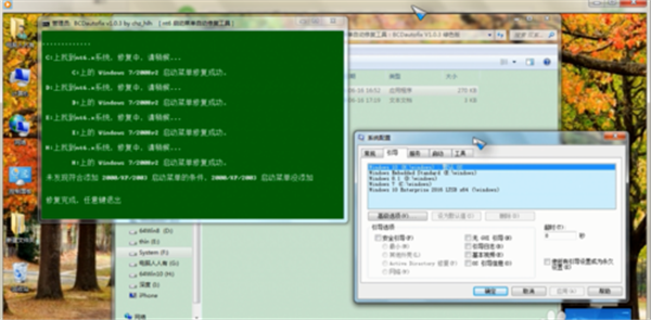 BCDautofix最新版使用方法7
