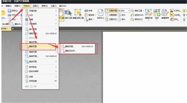 FoxitReader官方中文版删除多余页面方法2