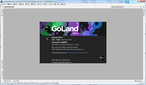 JetbrainsGoLand2019截图