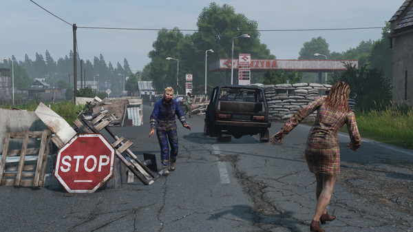 DayZ利沃尼亚单机版截图