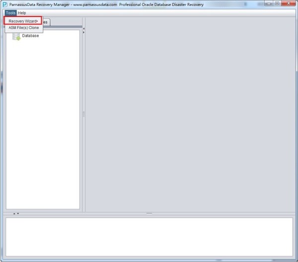 PranassusData Recovery Mananger下载