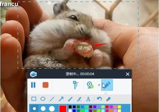 录屏王免费版使用说明4