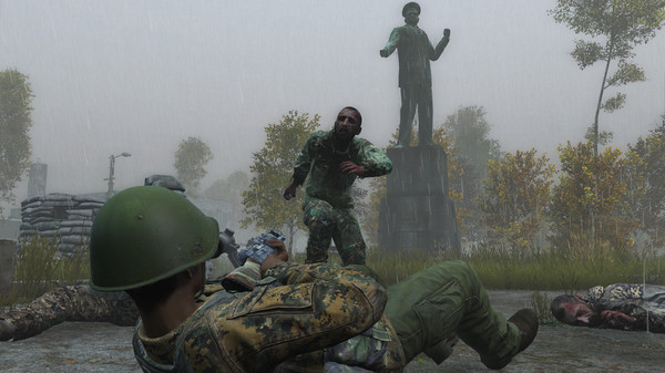 DayZ单机中文版截图