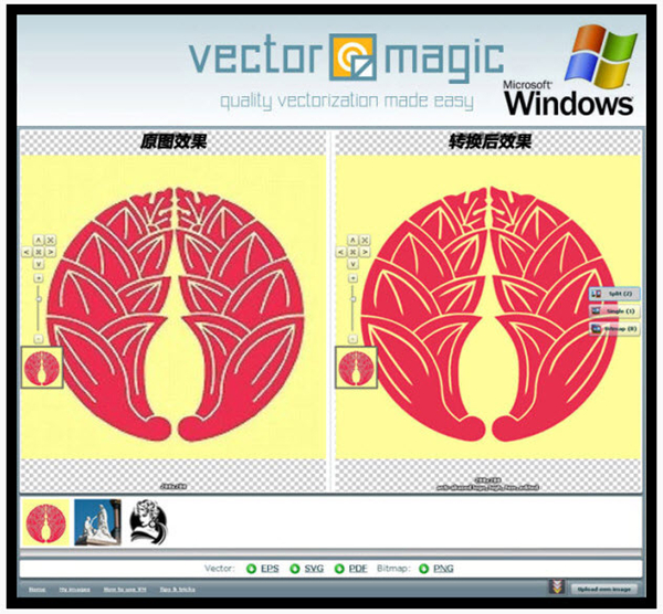 Vector Magic特别版