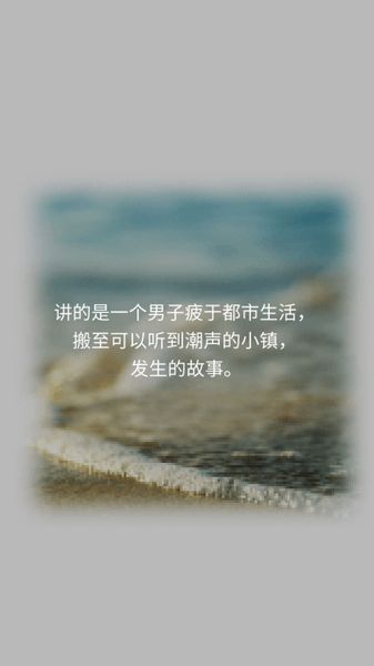 潮声小镇汉化下载最新版截图