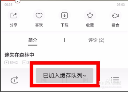 猫耳fm下载的音频在哪