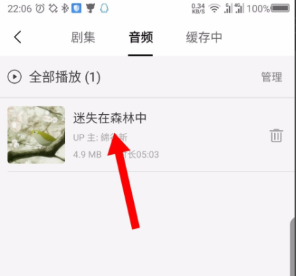 猫耳fm下载的音频在哪
