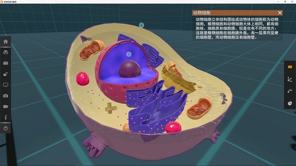 矩道高中生物VR3D虚拟仿真实验室下载
