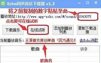 echo回声电脑版怎么下载音乐