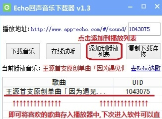 echo回声电脑版怎么下载音乐