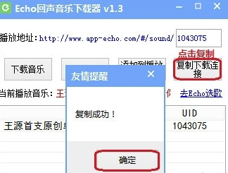 echo回声电脑版怎么下载音乐