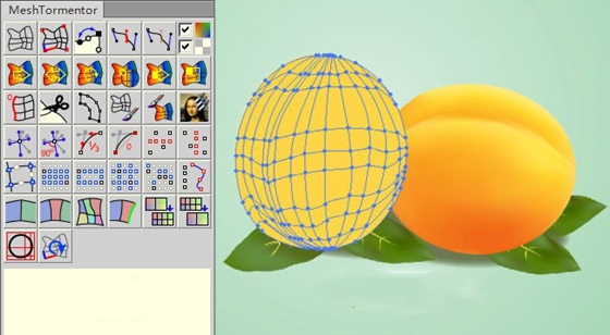 Mesh Tormentor使用教程1