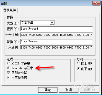 Hex Workshop特别版使用教程