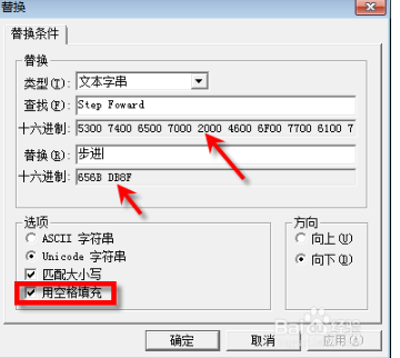 Hex Workshop特别版使用教程