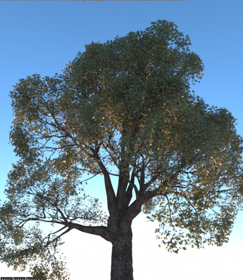 Forester插件使用教程8
