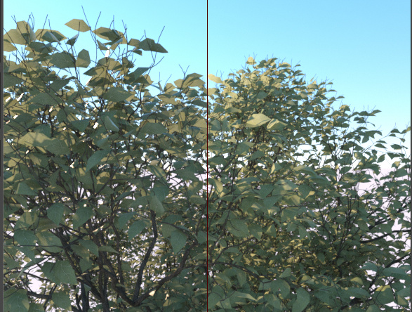 Forester插件使用教程7