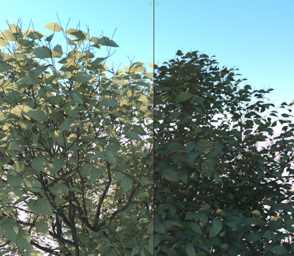 Forester插件使用教程6