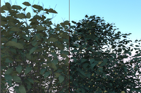 Forester插件使用教程4