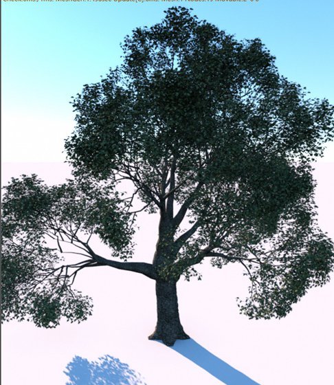 Forester插件使用教程2