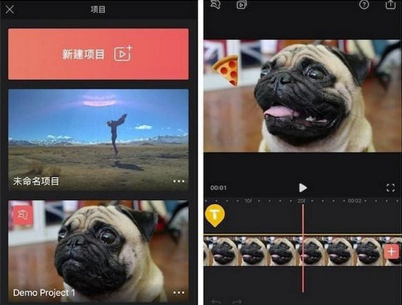 Videoleap电脑版下载截图