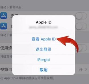 Videoleap电脑版怎么取消订阅