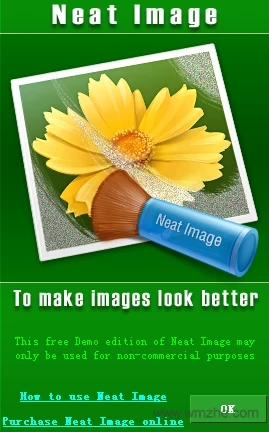 Neat Image滤镜下载