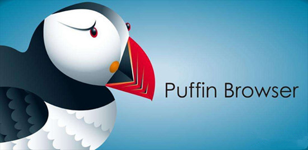 Puffin浏览器特别版