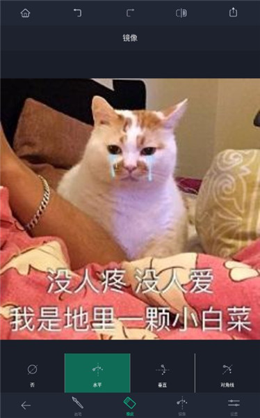 Retouch中文电脑版截图