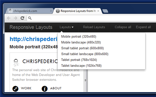 web developer下载