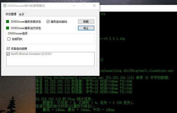 EndDNS免费版