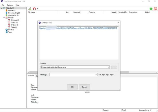 Tiny Downloader中文版使用教程截图