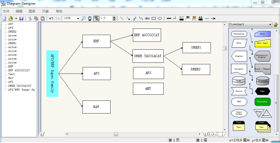 Diagram Designer中文版使用教程截图