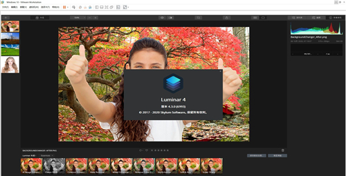 Luminar2020中文特别版截图