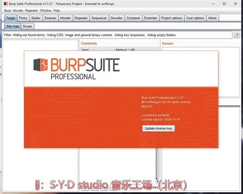 Burpsuite汉化特别版截图