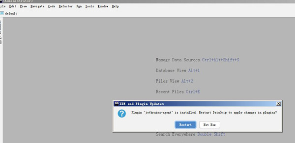 JetBrains DataGrip2020特别版安装方法