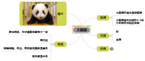 鹰翔思维导图软件免费版软件特色截图1