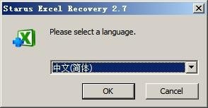 Starus Excel Recovery特别版
